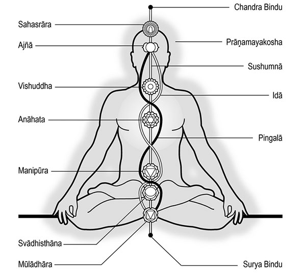 docentenopleiding Raja Yoga